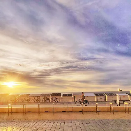 The Surf * Ostend